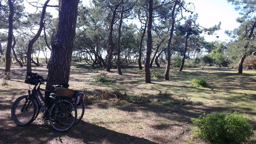 2014 Ile de Noirmoutiers Sylt (260)